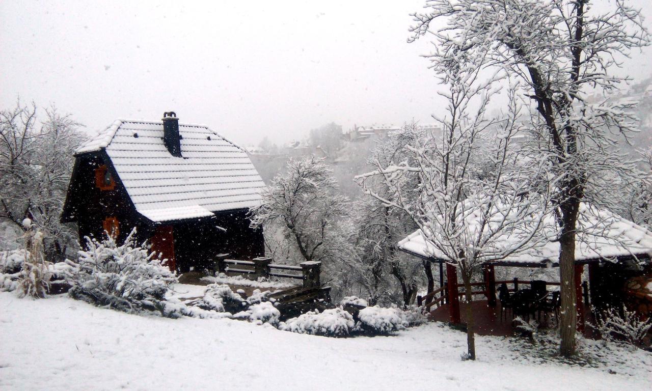 Vacation Home Nana Mokra Gora Luaran gambar