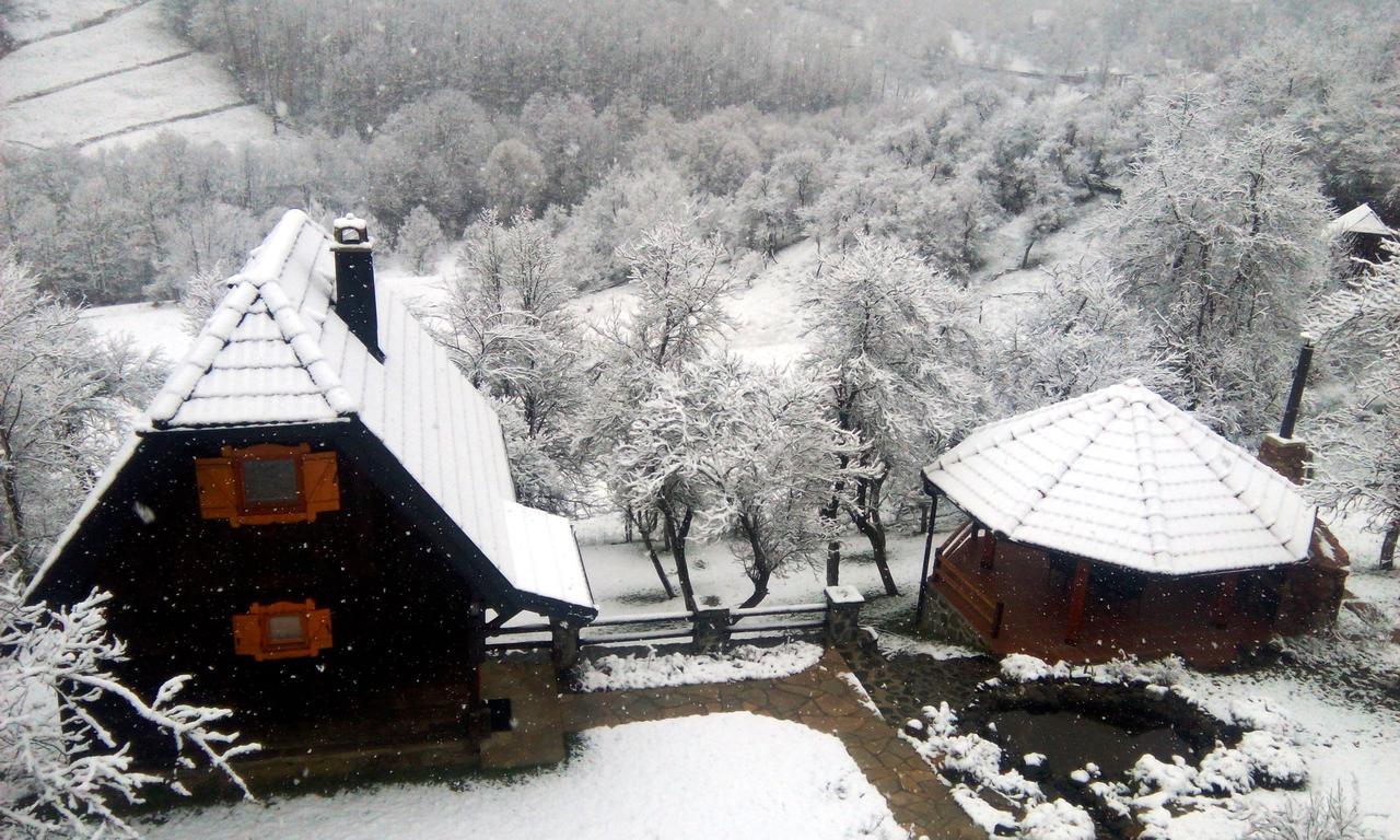 Vacation Home Nana Mokra Gora Luaran gambar