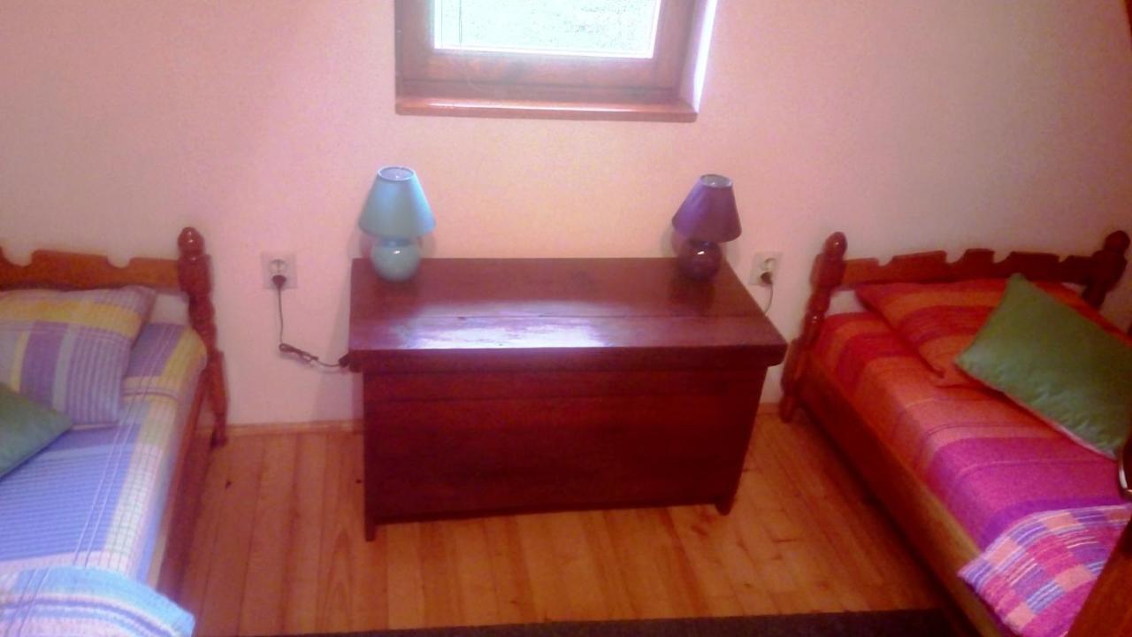 Vacation Home Nana Mokra Gora Luaran gambar